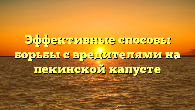 Эффективные способы борьбы с вредителями на пекинской капусте