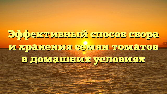 Эффективный способ сбора и хранения семян томатов в домашних условиях