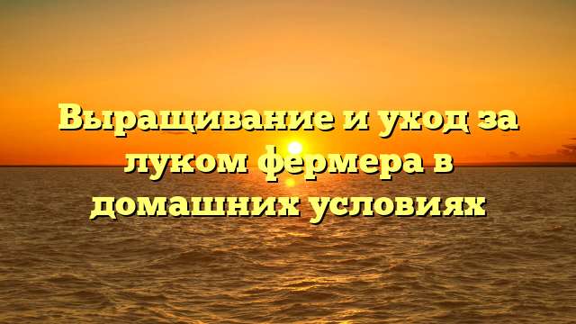 Выращивание и уход за луком фермера в домашних условиях