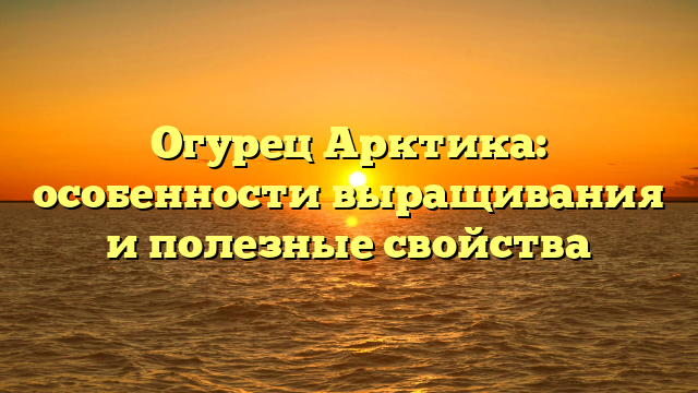 Огурец Арктика: особенности выращивания и полезные свойства