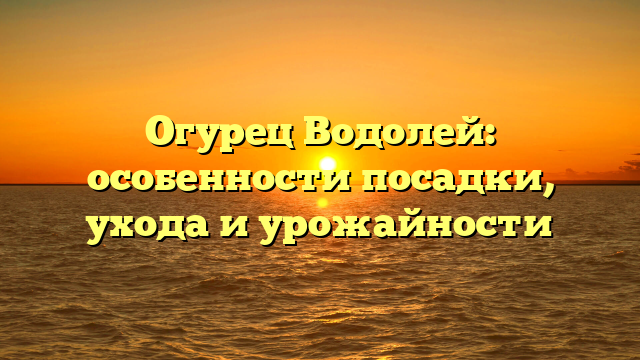 Огурец Водолей: особенности посадки, ухода и урожайности