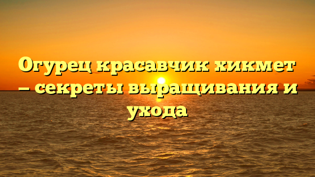 Огурец красавчик хикмет — секреты выращивания и ухода