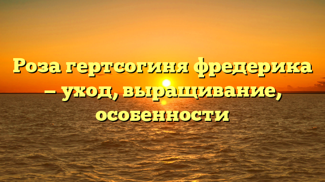 Роза гертсогиня фредерика — уход, выращивание, особенности